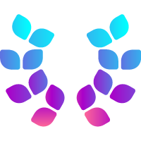Racionalist: Coding Profile